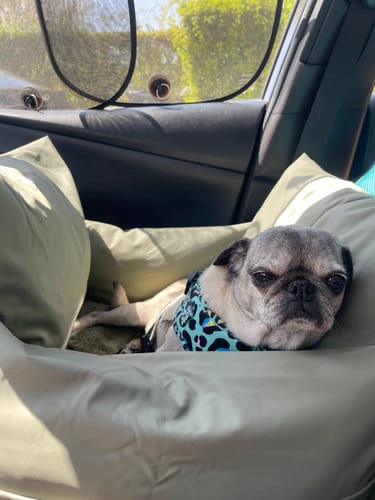 Siège vert dans la voiture