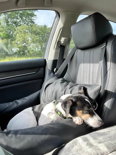 Siège fixé sur l'Isofix